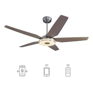 Starfish 56 in. Integrated LED Indoor/Outdoor Nickel Smart Ceiling Fan with Light and Remote, Work w/Alexa/Google Home