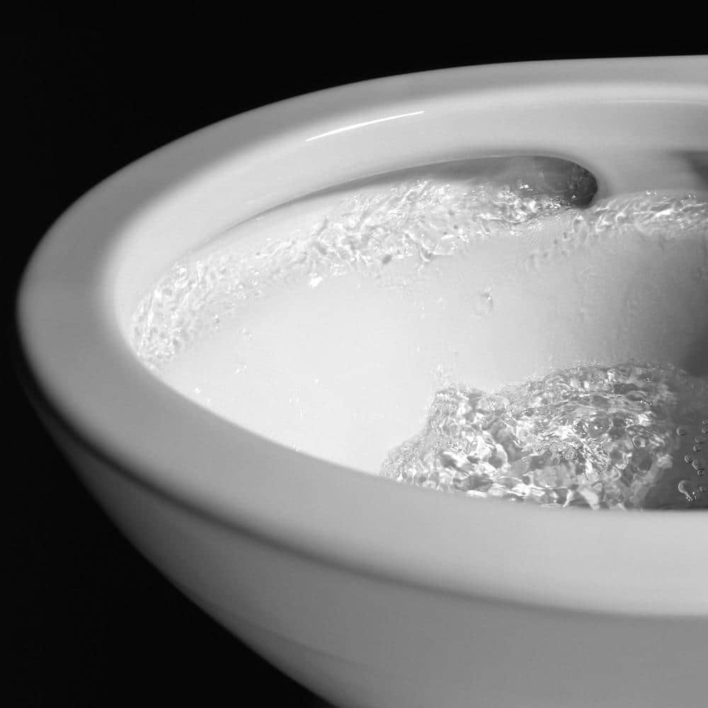 Bone Vitreous China Elongated One-Piece Toilet with Washlet Combo