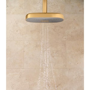 Statement Oblong 2-Spray Patterns 2.5 GPM 18 in. Ceiling Mount Rainhead Fixed Shower Head in Vibrant Brushed Bronze
