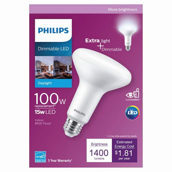 philips 100 watt led daylight