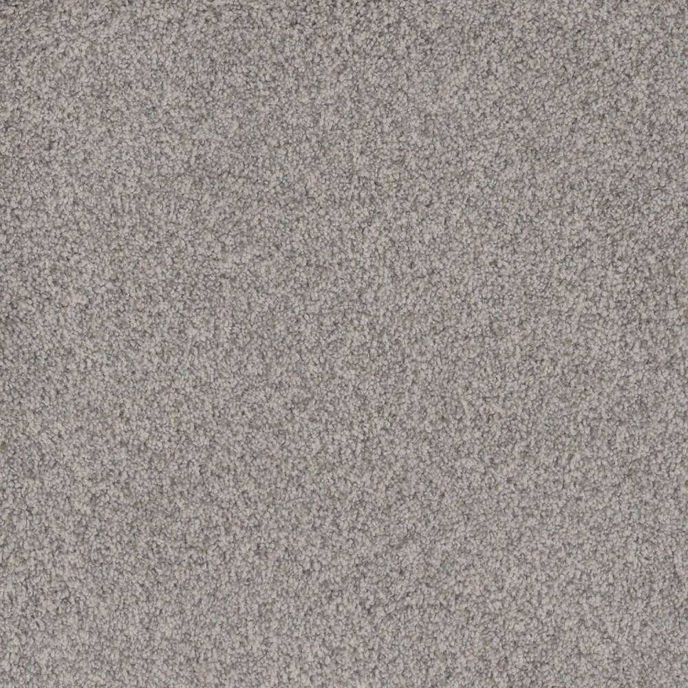 Home Decorators Collection 8 in. x 8 in. Texture Carpet Sample ...