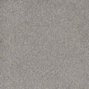 8 in. x 8 in. Texture Carpet Sample - Westchester III - Color Stargazer