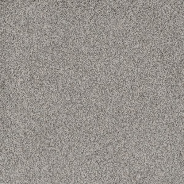 Home Decorators Collection 8 in. x 8 in. Texture Carpet Sample ...