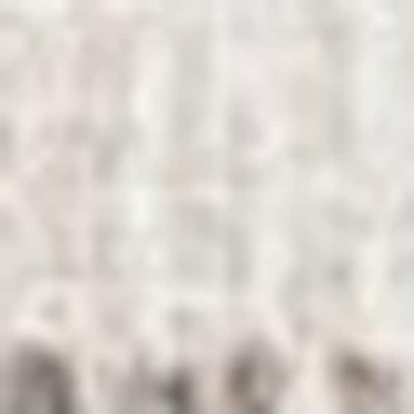 2 X 3 Ivory Ombre Runner Rug