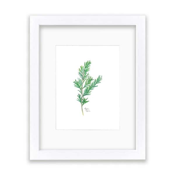 Unbranded Nature's Lace 2 "Rosemary" by Alyssa Lewis Individual White Framed with Mat Nature Art Print 24 in. x 18 in.