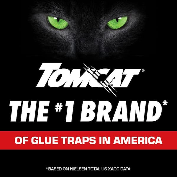 TOMCAT - Super Hold Glue Traps Mouse Size for Mice, Cockroaches, Spiders, and Scorpions, Ready-To-Use, 4 Traps