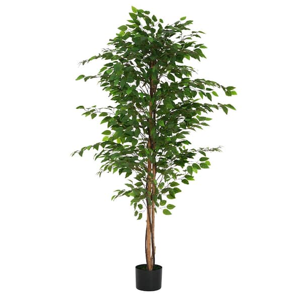Ayres 6.17 ft. Indoor Green Artificial Ficus Tree With Black Plastic Pot