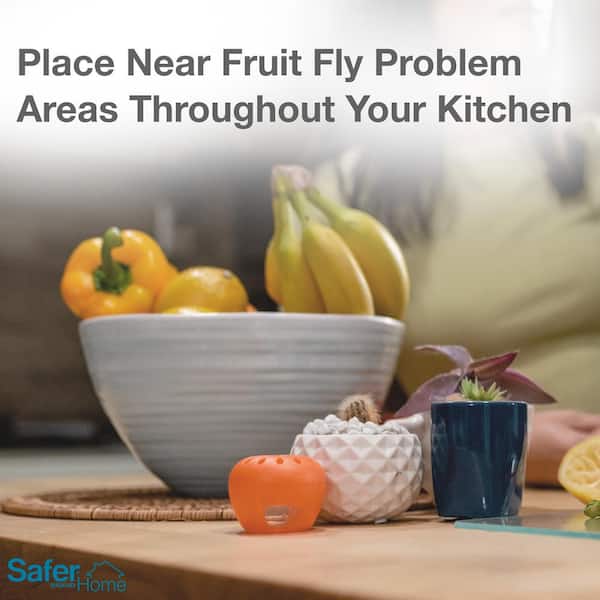 Maggie's Farm Indoor Fruit Fly Trap (2-Pack) - Baller Hardware