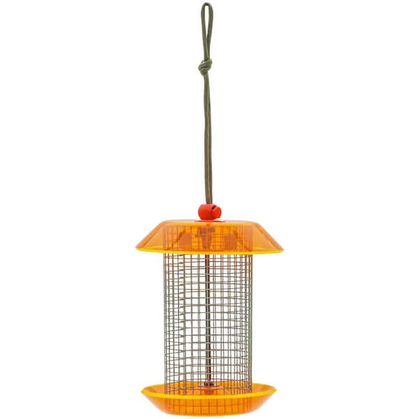 BIRDS choice Small Sunflower Seed Feeder Color Pop Collection in Light Green and Orange