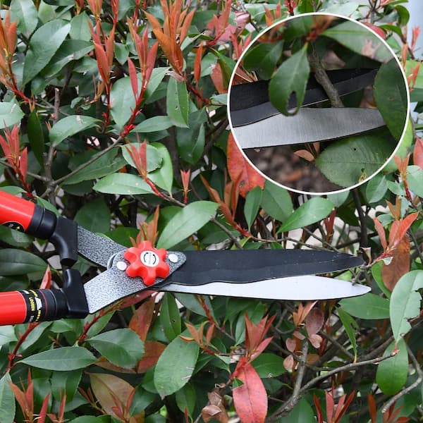 Garden Telescoping Hedge Shears Branches Extendable Trimmer
