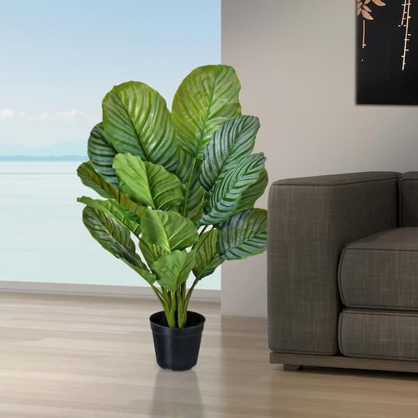 Regency International 34 in. Green Artificial Calathea in Pot