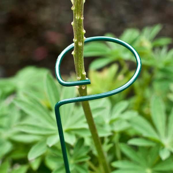 Garden Zone 100050618 Plant Prop Stand 36" for sale online 
