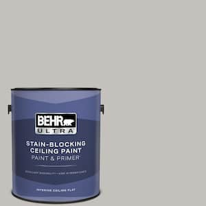 1 gal. #PPU18-10 Natural Gray Ceiling Flat Interior Paint & Primer