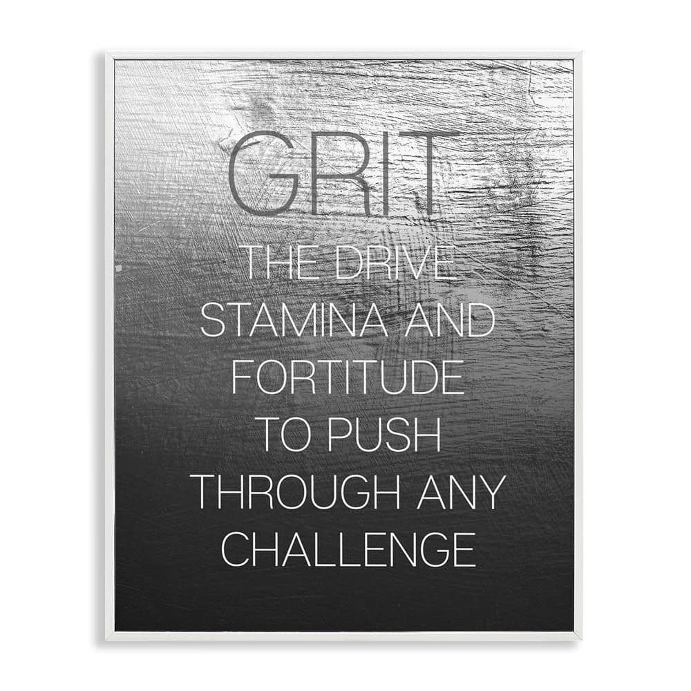 Grit Motivational Definition by Daphne Polselli White Framed Typography Giclee Art Print 14 in. x 11 in. price history on PriceWatchPro