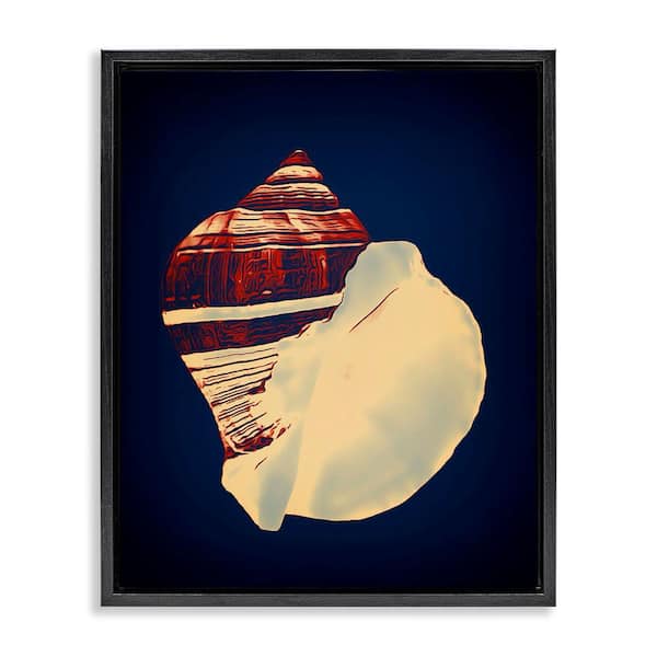 Stupell Industries Fiber Conch on Blue by Graffi tee Studios Black Floater Frame Coastal Graphic Art Print 31 in. x 25 in.