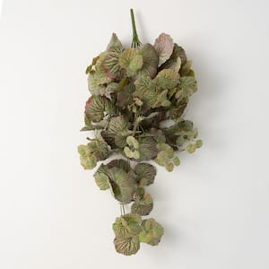 11.75" Hanging Begonia Bush; Green