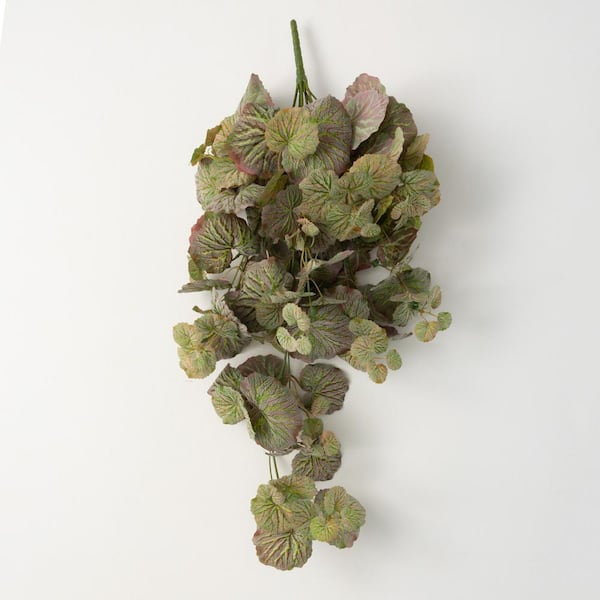 SULLIVANS 11.75" Hanging Begonia Bush; Green
