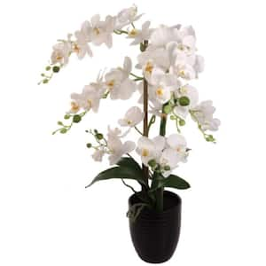 25 in. White Artificial Phalaenopsis Orchid Flower Arrangement in Black Ceramic Vase, Floral Home by Artificial Flowers