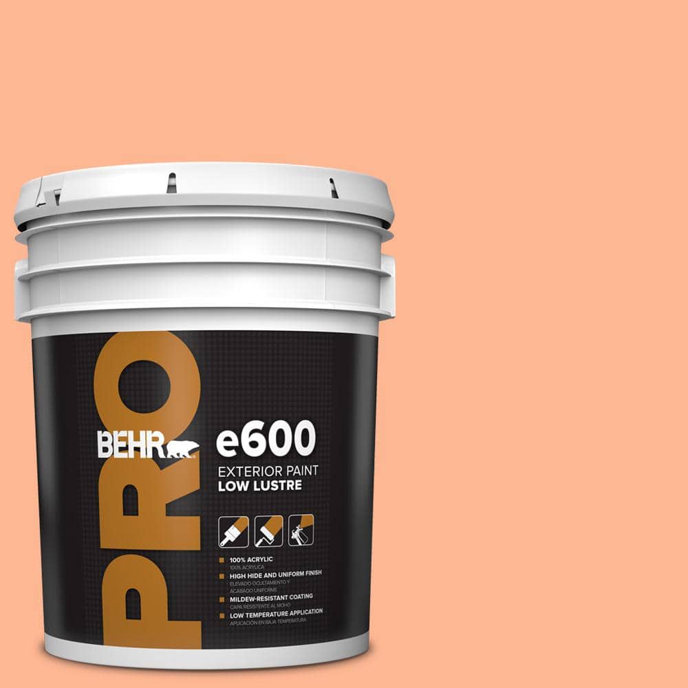 5 gal. #P200-4 Carotene Low Luster Exterior Paint price history on PriceWatchPro