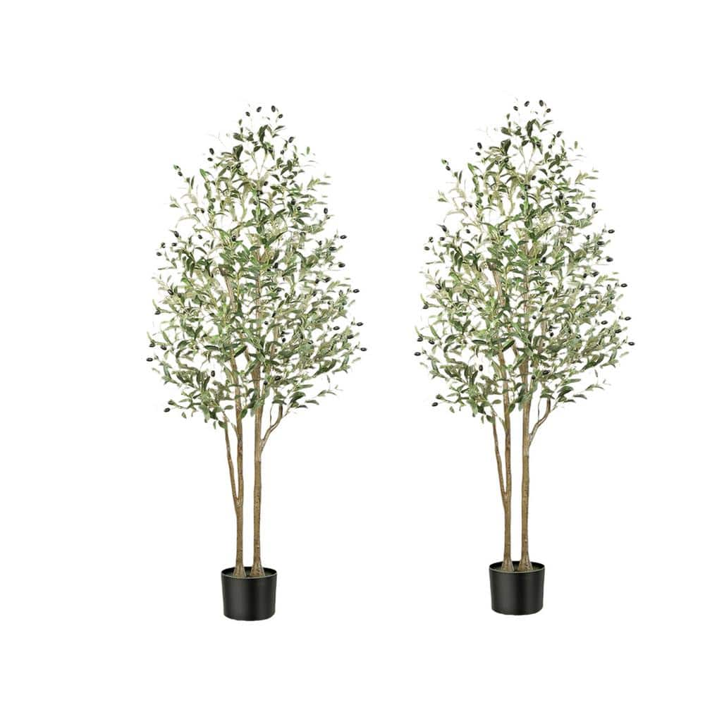 6 ft. Green Artificial Olive Tree, (Set of 2 Pack)