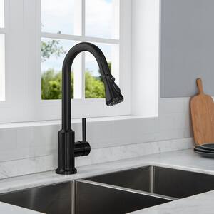 Ruth Single-Handle Pull-Down Sprayer Kitchen Faucet with Dual Function Sprayhead in Matte Black
