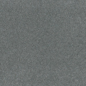 Jack Bay II - Bahama - Gray 65 oz. SD Polyester Texture Installed Carpet