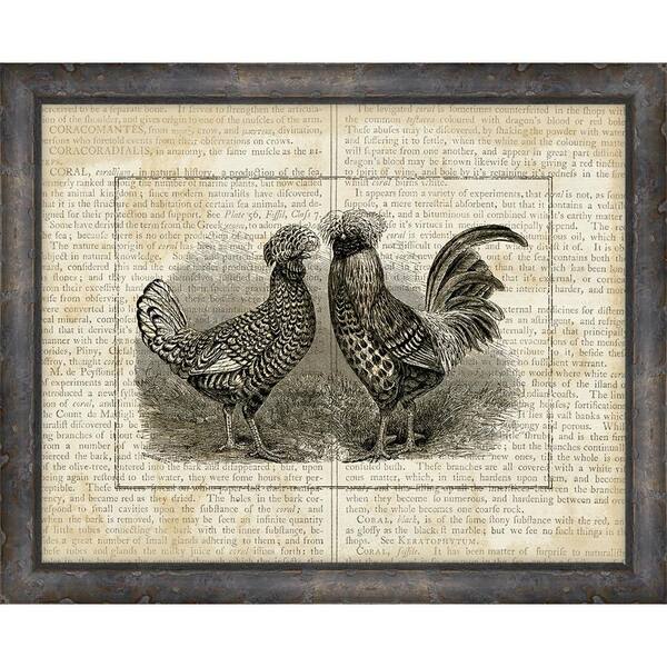 Melissa Van Hise 14 in. x 17 in. "Roosters on Writing II" Framed Giclee Print Wall Art