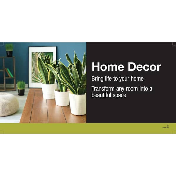 Vigoro 10 in. Spathiphyllum Peace Lily in White Plastic Deco Pot