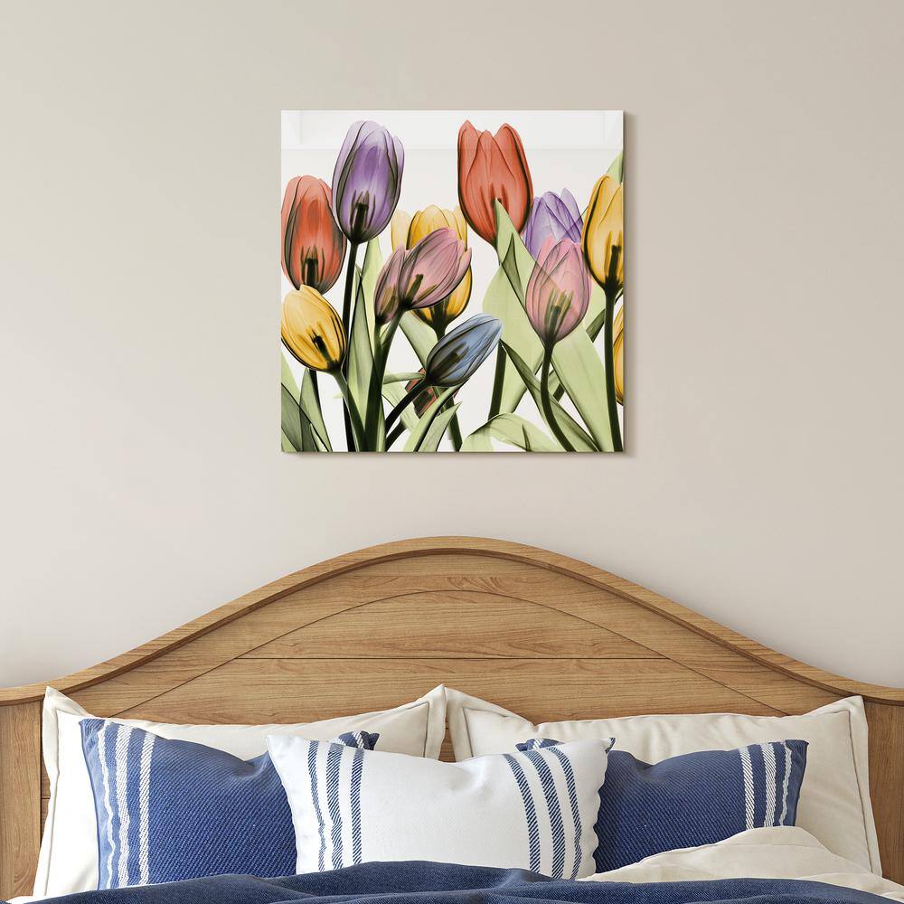 Tulip Scape X-Ray I Colorful Glass Wall Art, 24"