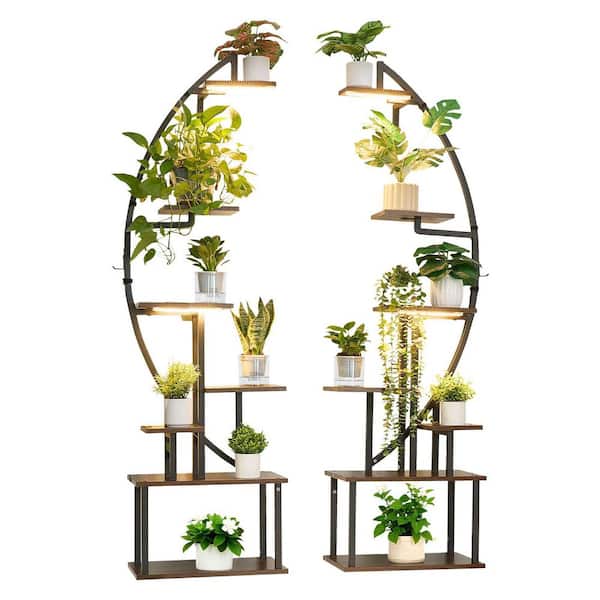 Plant Stand Indoor with Lights, 65.5 in. Tall Lighted Plant Shelf, Half-Moon Shaped Flower Display Rack for Living Room