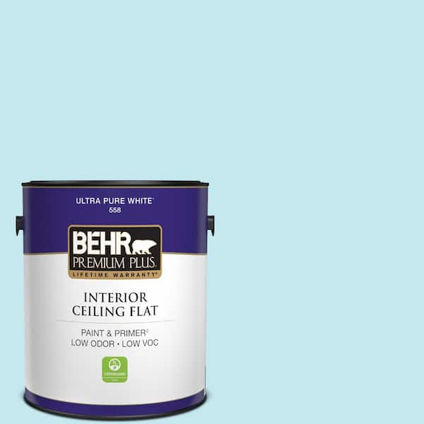 1 gal. #P480-1 Niagara Mist Ceiling Flat Interior Paint