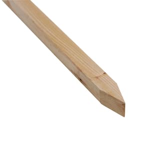 3 ft. Wood Tomato Stake (12-Pack)