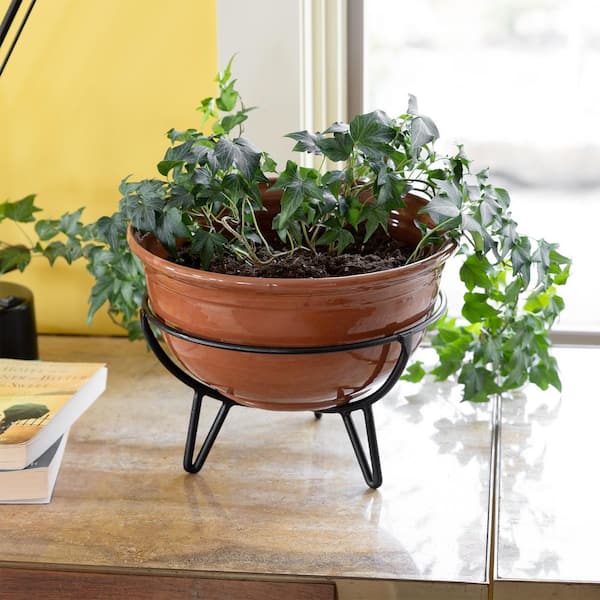 large floor plants indoor Statement Maker Duo