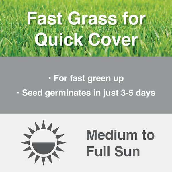 3 lbs. Fast Grass Seed Mix with Water Saver Seed Coating