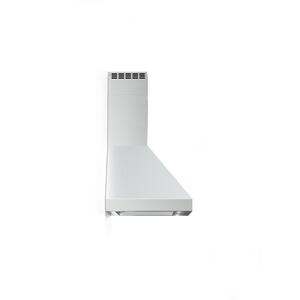 40 in. 560 CFM Wall Mount Canopy Vent Hood with Lights in Stainless Steel