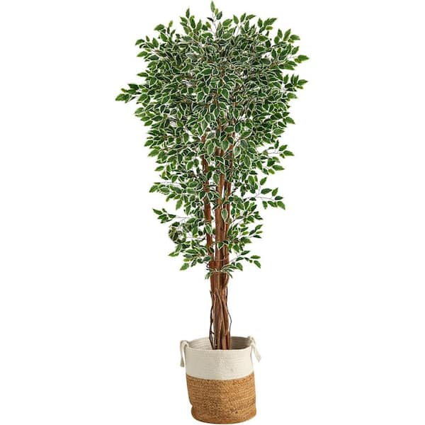 5.83 ft. Artificial Ficus Tree in Beige Planter, Artificial Indoor Home Decor Plant