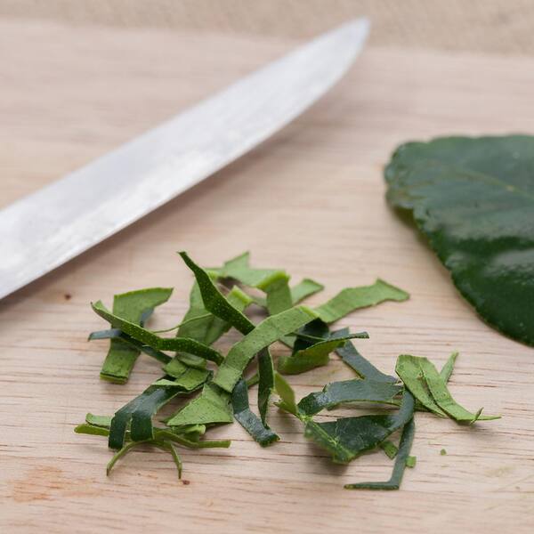 Van Zyverden Lime Citrus Tree Kieffir Lime 1 Plant 83907 The Home Depot