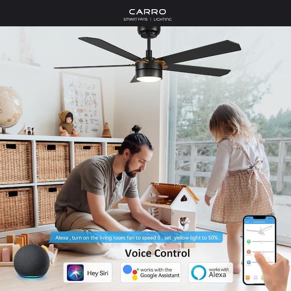 Granby 52 in. Integrated LED Indoor/Outdoor Black Smart Ceiling Fan with Light and Remote, Works with Alexa/Google Home