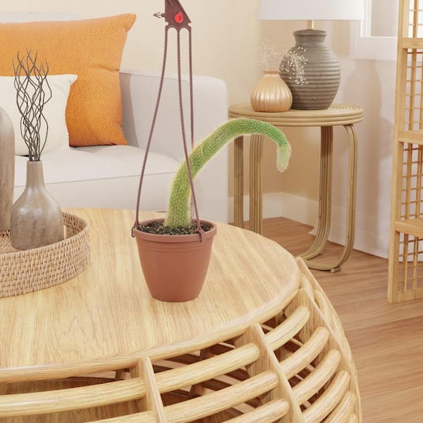Arcadia Garden Products 4 in. Monkey Tail Cactus in Brown Plastic