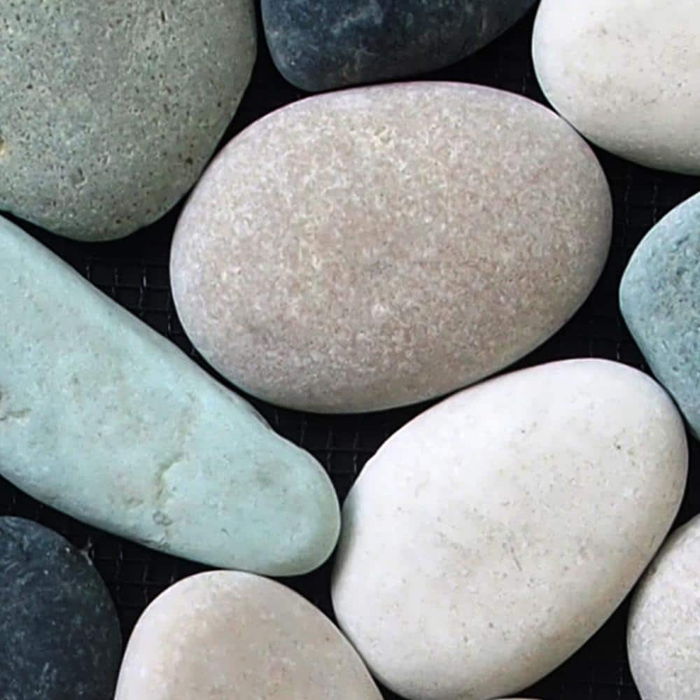 Classic Pebble Mosaic Tile Sample Color Black, Green and Tan 4 in. x 6 in. price history on PriceWatchPro