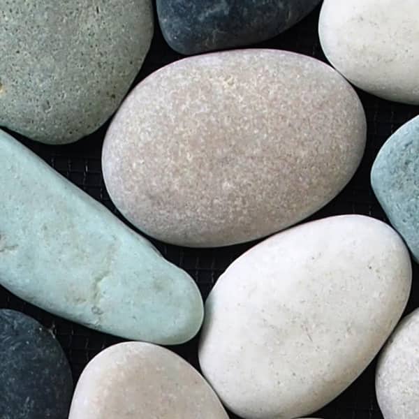 Classic Pebble Mosaic Tile Sample Color Black, Green and Tan 4 in. x 6 in.
