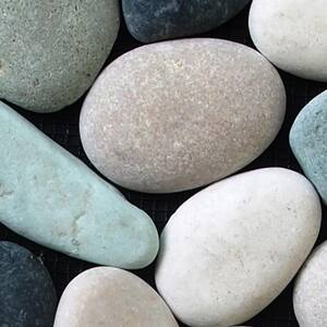 Classic Pebble Mosaic Tile Sample Color Black, Green and Tan 4 in. x 6 in.