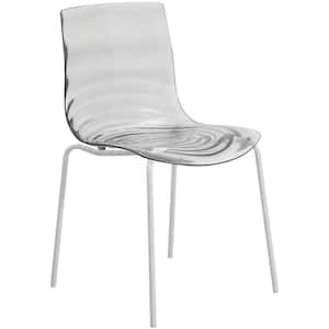 Modern Dining Chair Transparent Black ABS Plastic Stackable Side Chair with White Stainless-Steel Legs Astor Series