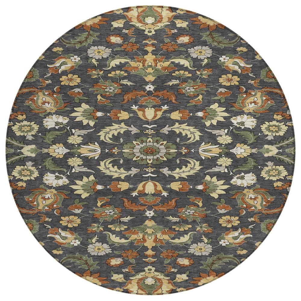 Chantille Machine Washable Indoor/Outdoor Abstract ACN2473 Charcoal 8 ft. x 8 ft. Round Rug price history on PriceWatchPro