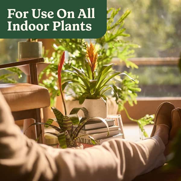 Miracle-Gro Organic Indoor Plant Food 8 fl. oz. Organic All Purpose  Houseplant Liquid Plant Food, 1-0.5-1 NPK 3422010