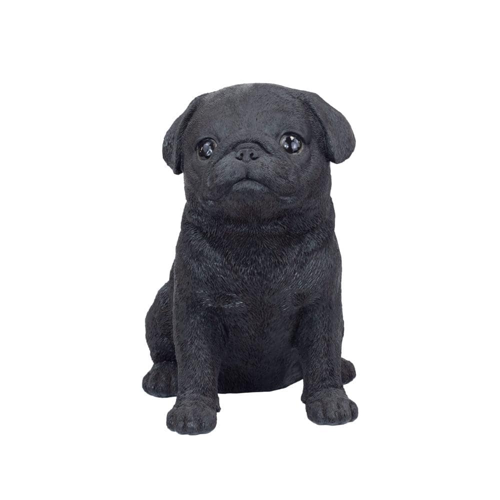 SoReal Black Baby Pug price history on PriceWatchPro