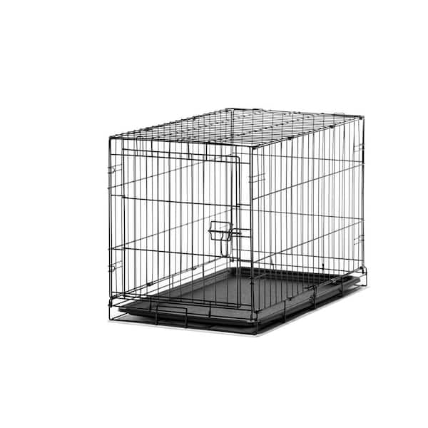 Carlson Pet Products Carlson Secure and Foldable Single Door Metal Dog Crate, Medium