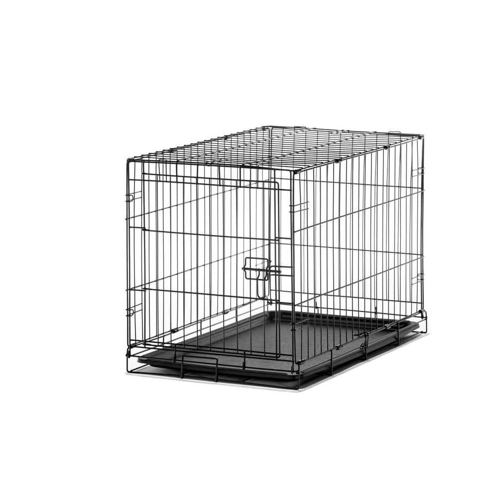 Carlson Pet Products Carlson Secure and Foldable Single Door Metal Dog ...