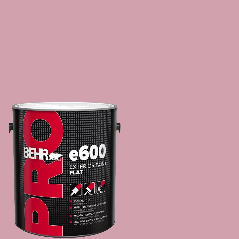 1 gal. #100C-3 Birthday Candle Flat Paint price history on PriceWatchPro