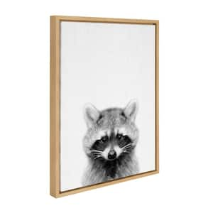 24 in. x 18 in. "Raccoon" by Tai Prints Framed Canvas Wall Art